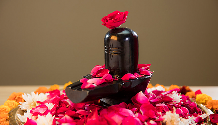 Rudrabhishek Pujan